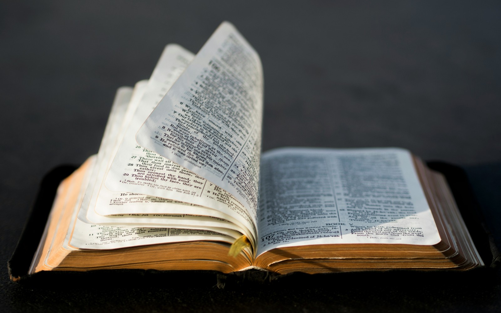 An open bible on a dark surface with the wind blowing the pages.